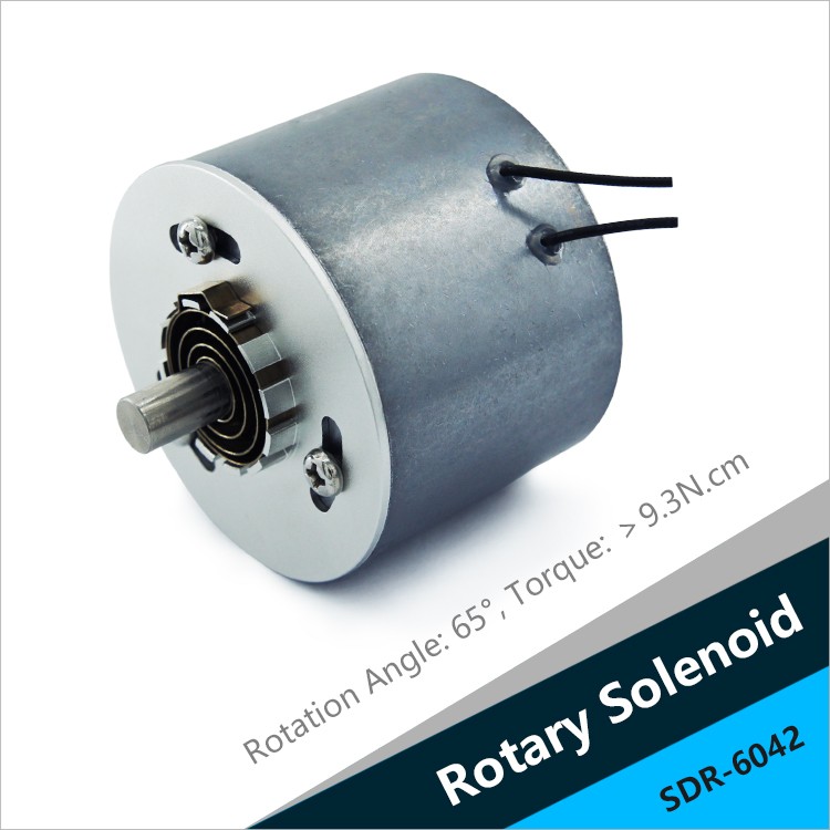 SDR-6042 Rotary Solenoid For Fruit Sorter