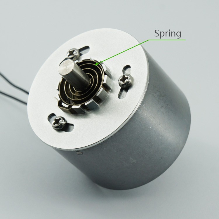 SDR-6042 Rotary Solenoid For Fruit Sorter